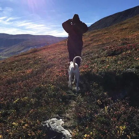 Magalaupe Oppdal